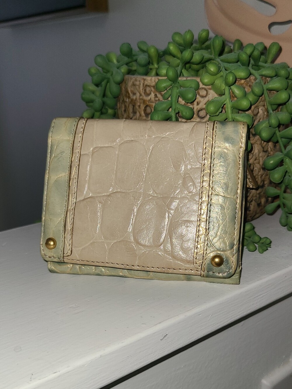 Brahmin Croc-Embossed Compact Wallet in Sage Green And Ivory